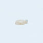 Scott Garnaat: White Alabaster, Turtle