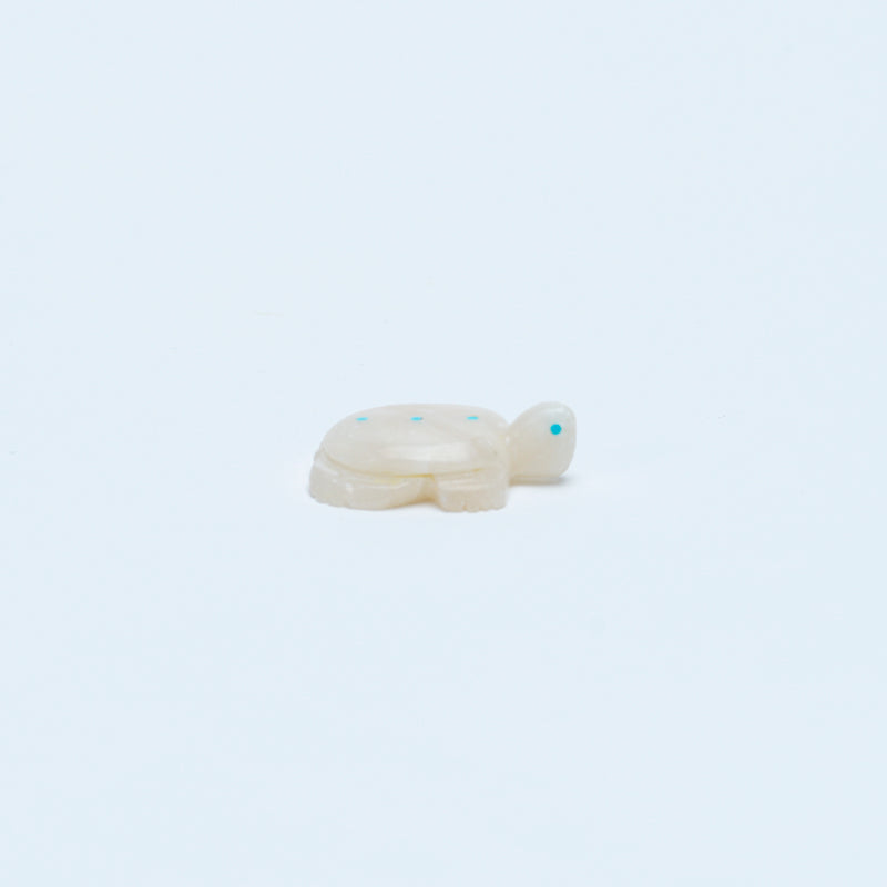 Scott Garnaat: White Alabaster, Turtle