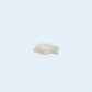 Scott Garnaat: White Alabaster, Turtle