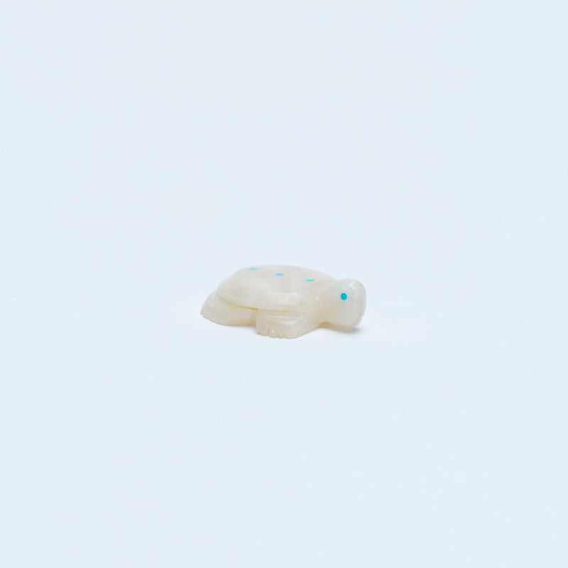 Scott Garnaat: White Alabaster, Turtle