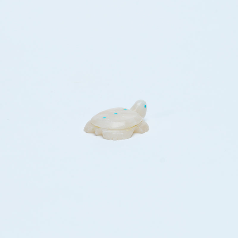 Scott Garnaat: White Alabaster, Turtle