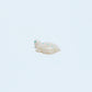Scott Garnaat: White Alabaster, Turtle