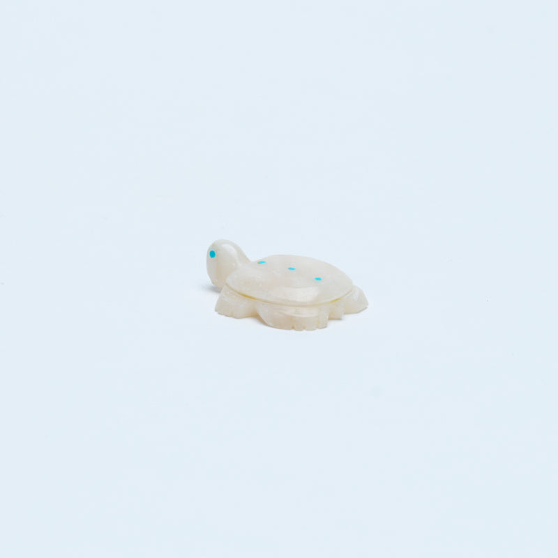 Scott Garnaat: White Alabaster, Turtle