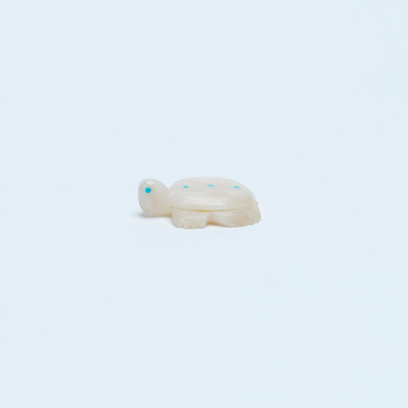 Scott Garnaat: White Alabaster, Turtle