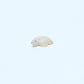 Scott Garnaat: White Alabaster, Turtle