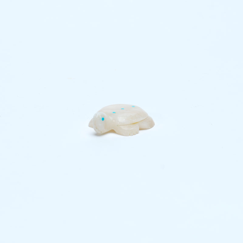 Scott Garnaat: White Alabaster, Turtle