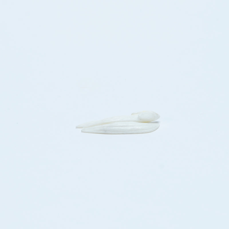 Jonas Hustito: White Marble, Flying Squirrel