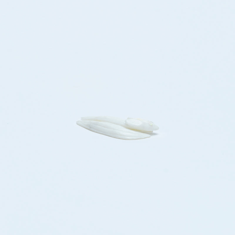 Jonas Hustito: White Marble, Flying Squirrel