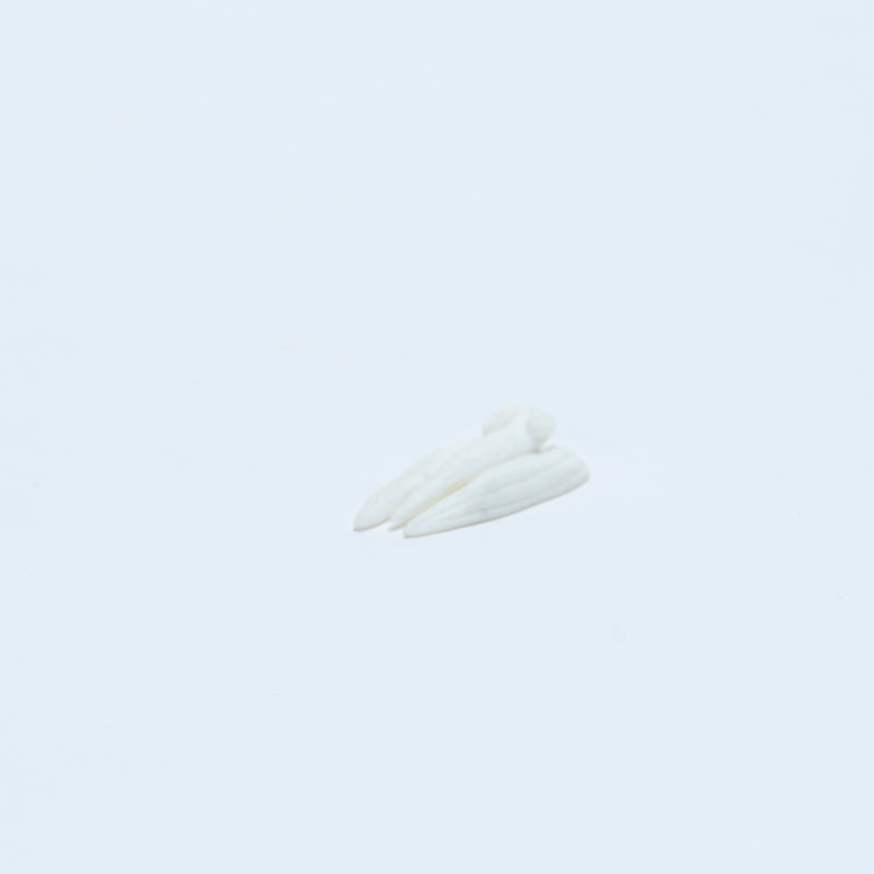 Jonas Hustito: White Marble, Flying Squirrel