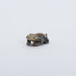 Hudson Sandy: Picasso, Horned Toad
