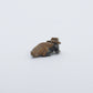 Hudson Sandy: Picasso, Horned Toad
