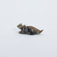 Hudson Sandy: Picasso, Horned Toad