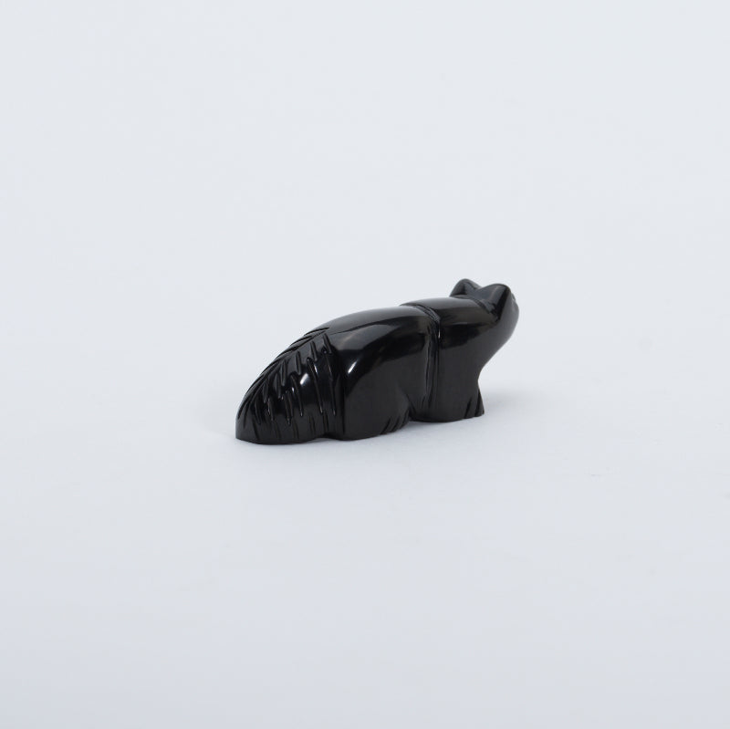 Al Lasiloo: Black Jet, Fox