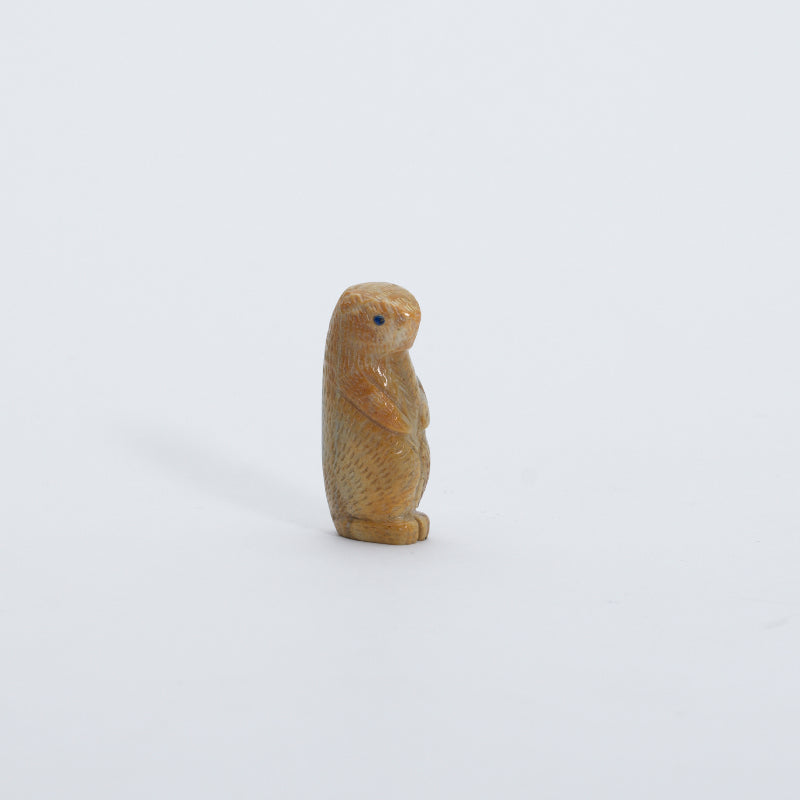Vivella Cheama: Picasso Marble, Prairie Dog