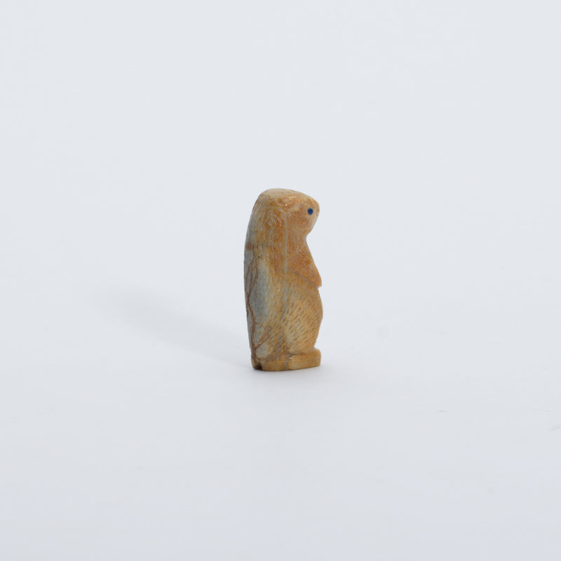 Vivella Cheama: Picasso Marble, Prairie Dog