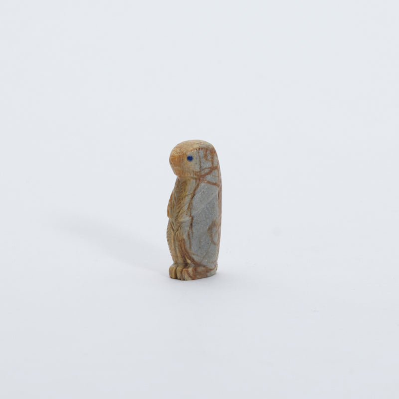 Vivella Cheama: Picasso Marble, Prairie Dog