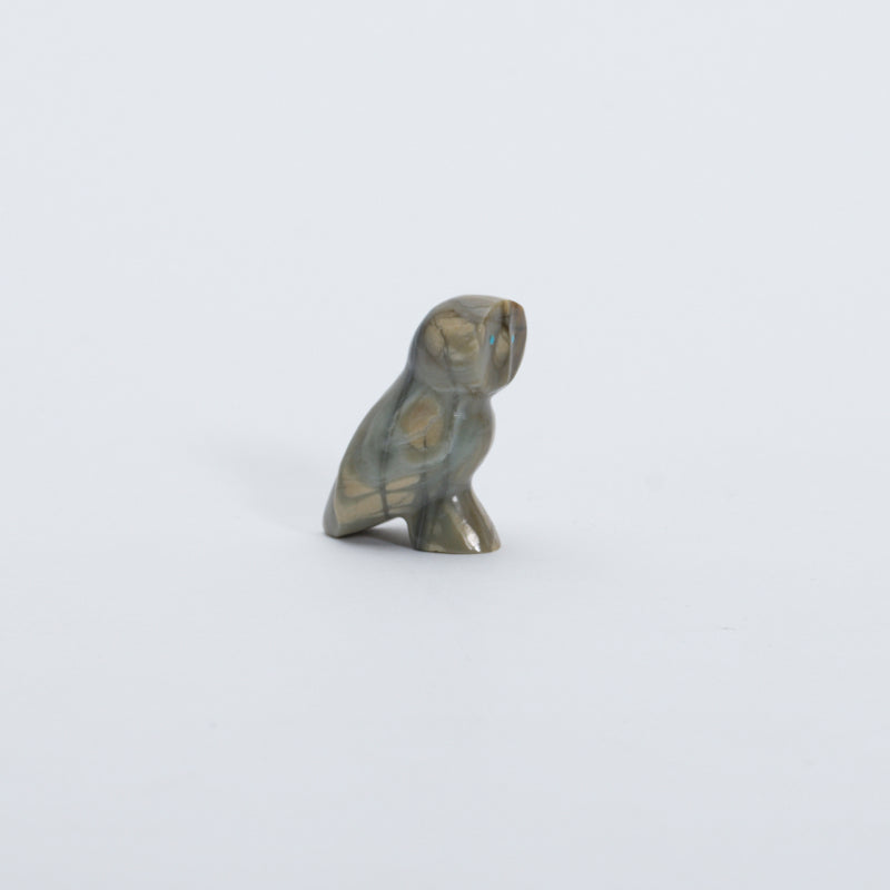 Calbert Bowannie: Picasso, Owl