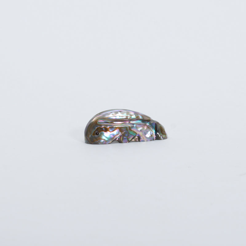 James Panteah: Abalone, Rabbit