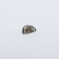 James Panteah: Abalone, Rabbit