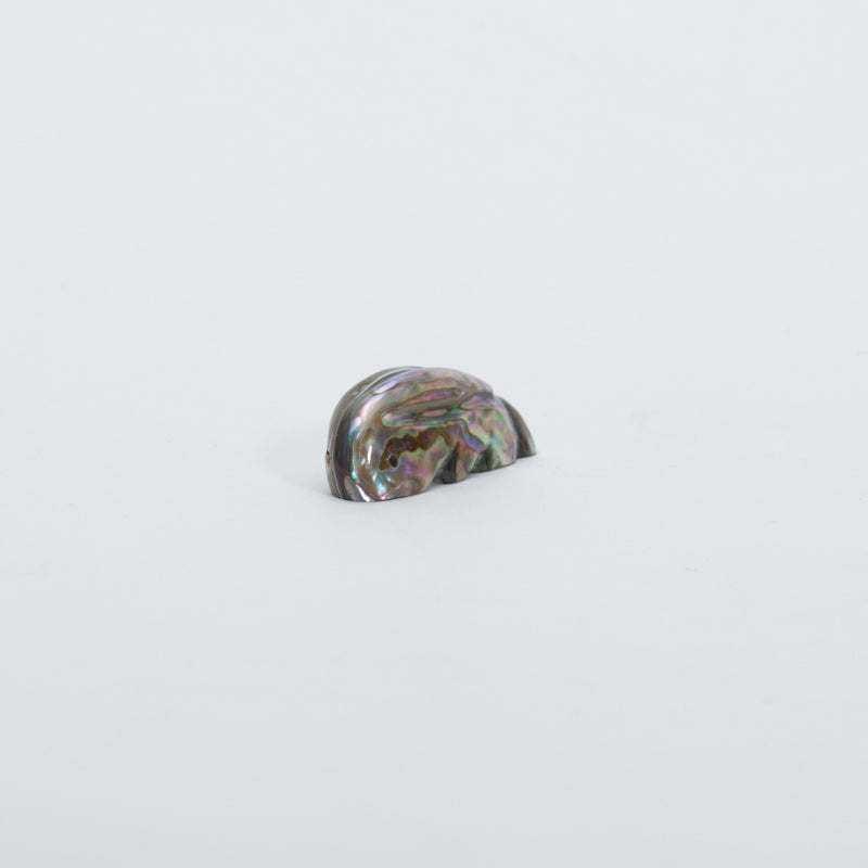 James Panteah: Abalone, Rabbit