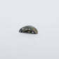 James Panteah: Abalone, Rabbit