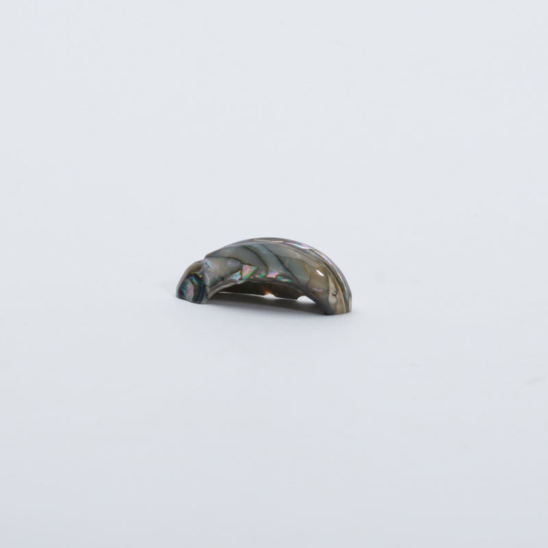 James Panteah: Abalone, Rabbit