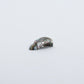 James Panteah: Abalone, Rabbit