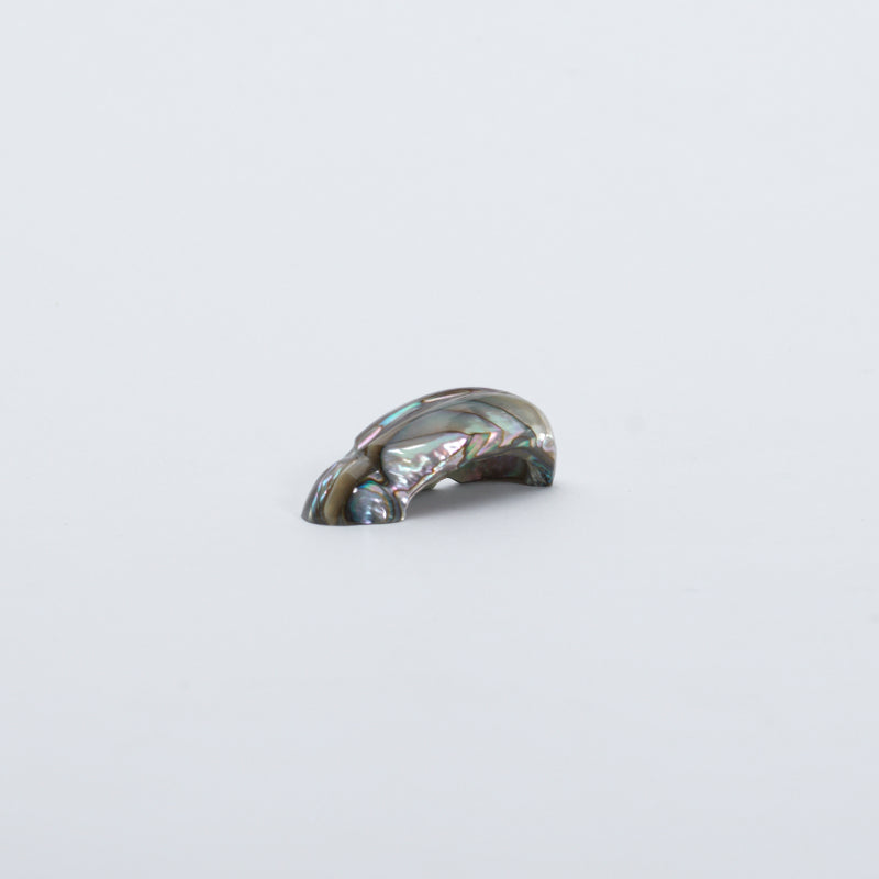 James Panteah: Abalone, Rabbit