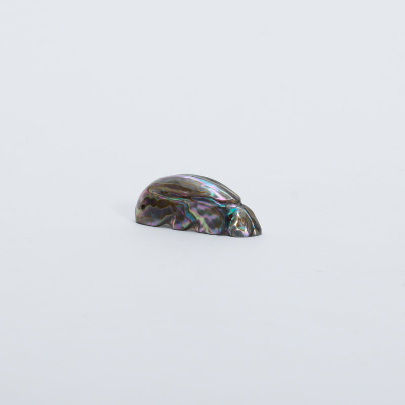 James Panteah: Abalone, Rabbit