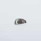 James Panteah: Abalone, Rabbit