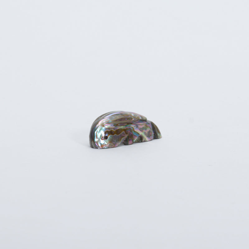 James Panteah: Abalone, Rabbit