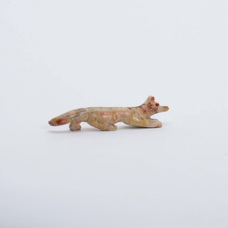 Cody Nastacio: Tigilite, Fox
