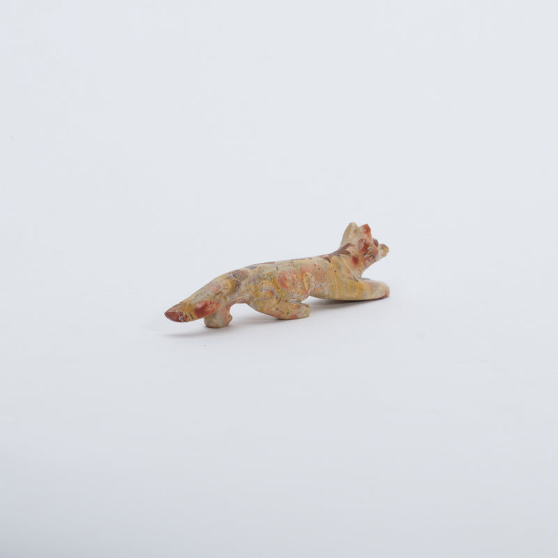 Cody Nastacio: Tigilite, Fox