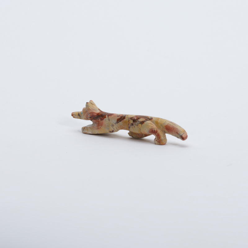 Cody Nastacio: Tigilite, Fox