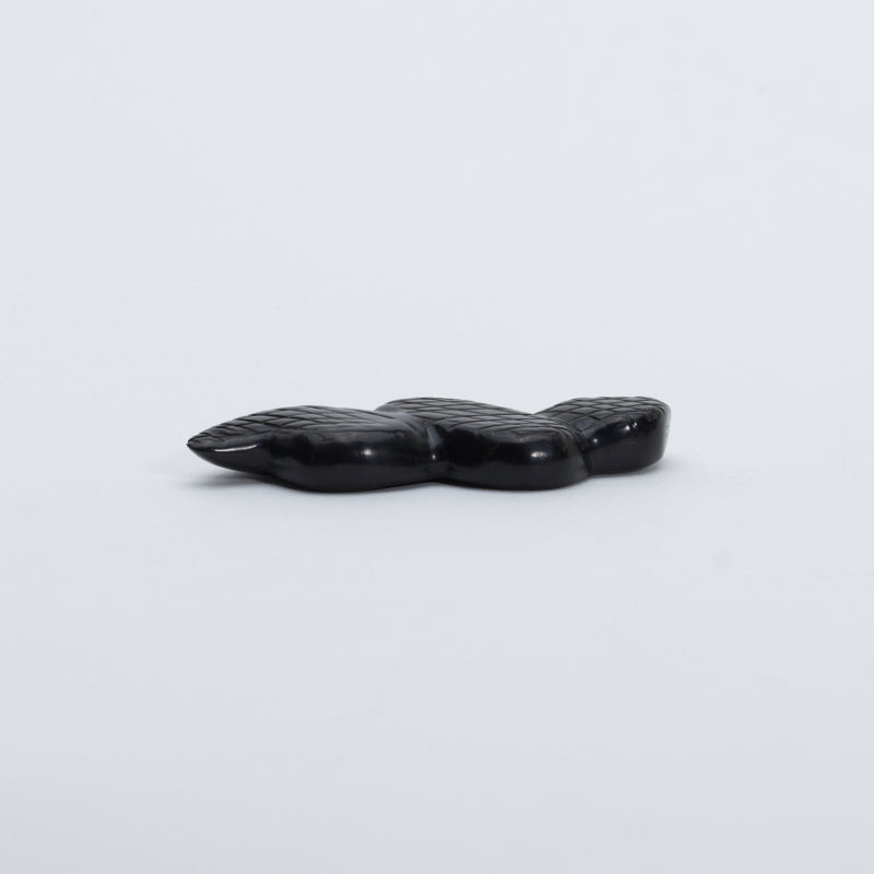 Justin Red Elk: Black Jet, Snake
