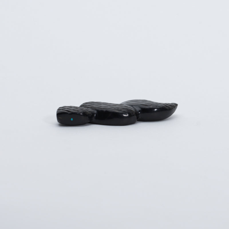 Justin Red Elk: Black Jet, Snake