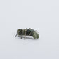 Danny Lonjose: Ricolite, Spider