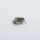 Danny Lonjose: Ricolite, Spider