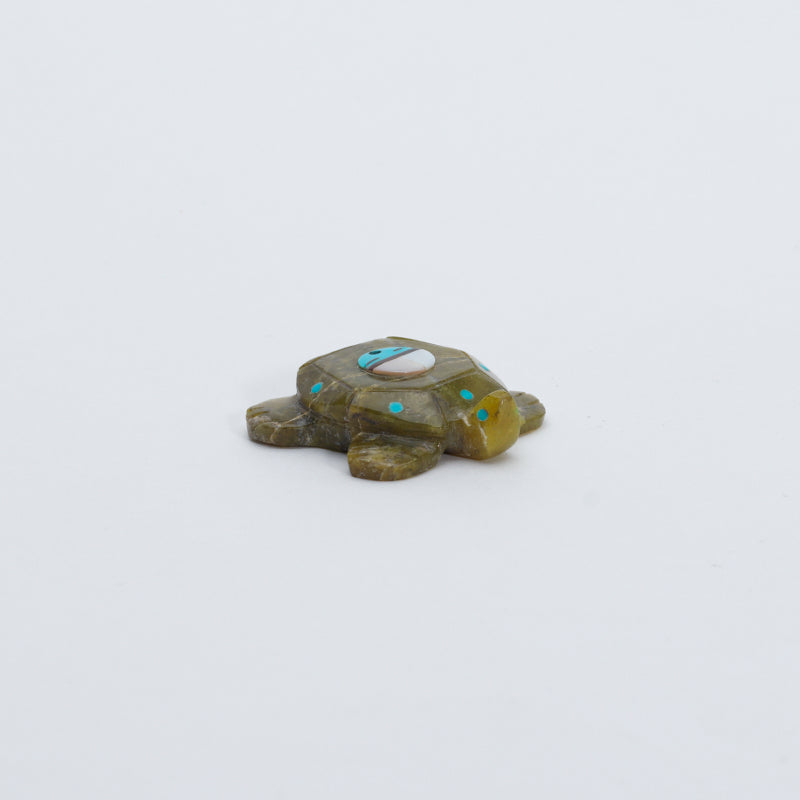Darren Boone: Serpentine, Turtle