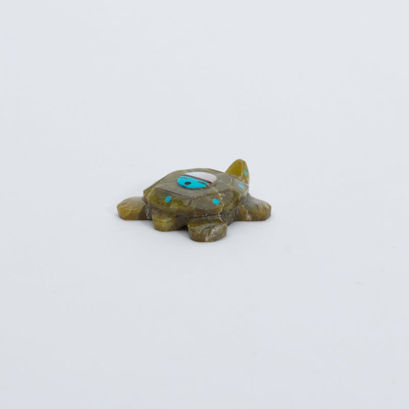 Darren Boone: Serpentine, Turtle