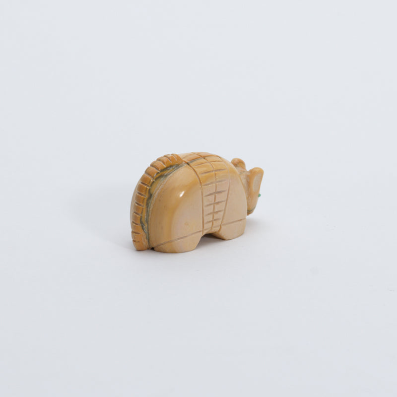 Unknown Artist: Dolomite, Armadillo