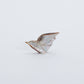 Daniel Chattin: Smokey Penn Shell, Bird