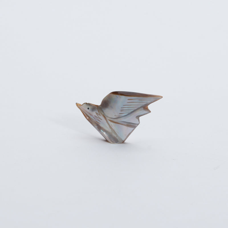 Daniel Chattin: Smokey Penn Shell, Bird