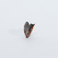 Daniel Chattin: Smokey Penn Shell, Bird