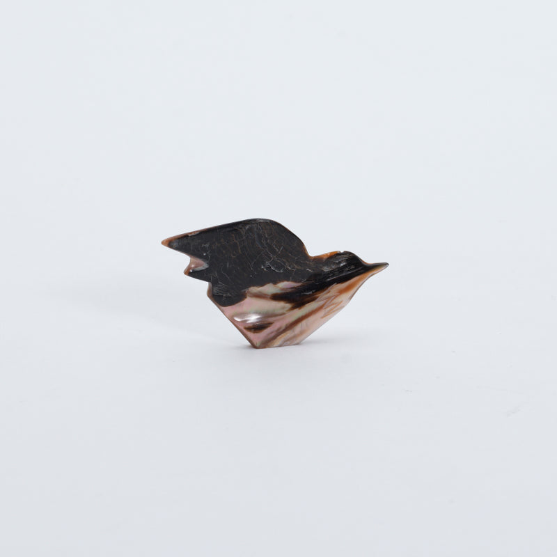 Daniel Chattin: Smokey Penn Shell, Bird