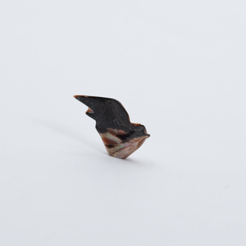 Daniel Chattin: Smokey Penn Shell, Bird