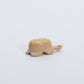 Unknown Artist: Dolomite, Turtle