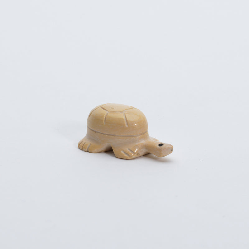 Unknown Artist: Dolomite, Turtle