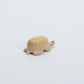 Unknown Artist: Dolomite, Turtle