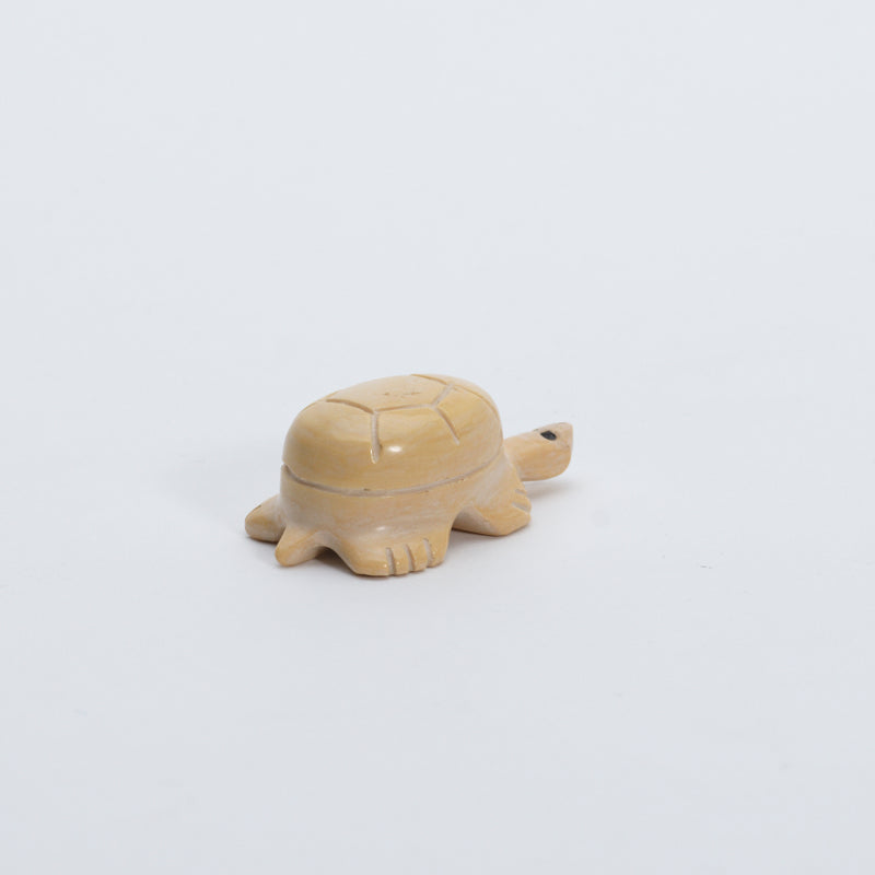 Unknown Artist: Dolomite, Turtle